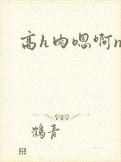 高h肉嗯啊np