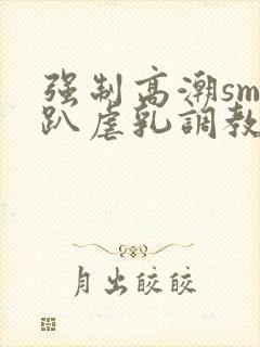 强制高潮sm跪趴虐乳调教