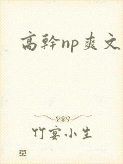 高干np爽文