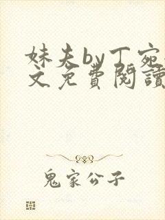 妹夫by丁宛全文免费阅读笔趣阁