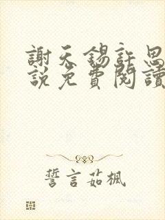 谢天锡许思霏小说免费阅读全文正版