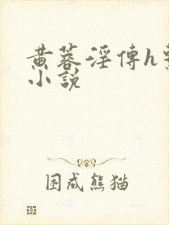 黄蓉淫传h系列小说封面