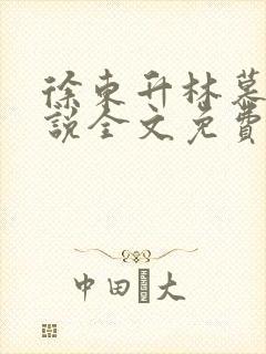 徐东升林慕婉小说全文免费阅读