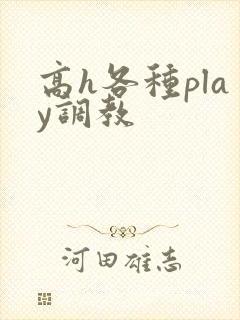 高h各种play调教