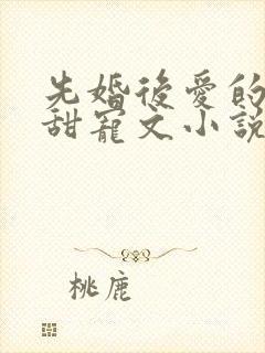 先婚后爱的古言甜宠文小说