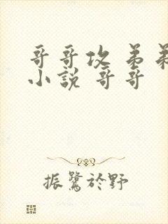 哥哥攻 弟弟受小说 哥哥