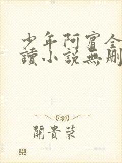 少年阿宾全文阅读小说无删减
