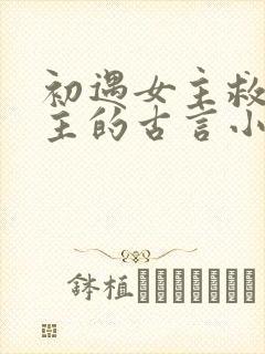 初遇女主救了男主的古言小说封面