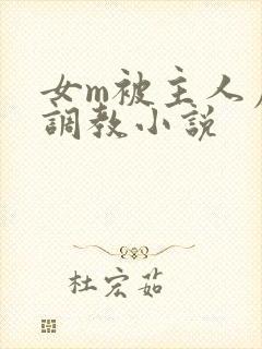 女m被主人虐菊调教小说封面