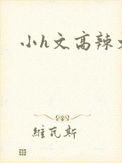 小h文高辣文