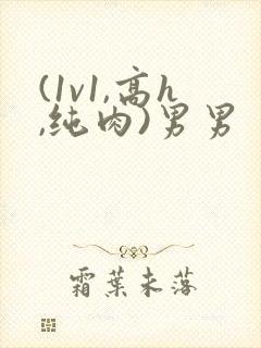 (1v1,高h,纯肉)男男