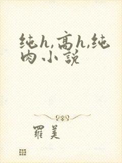 纯h,高h,纯肉小说