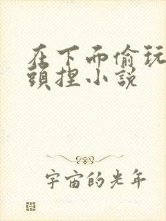 在下面偷玩乳奶头捏小说封面