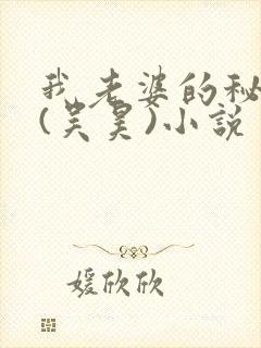 我老婆的秘密 (吴昊)小说