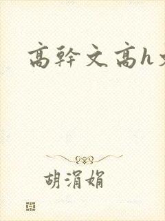 高干文高h文