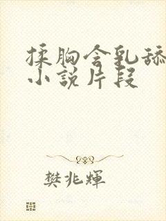 揉胸含乳舔下面小说片段