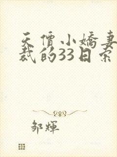 天价小娇妻,总裁的33日索情无删减封面