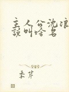 主人公沈浪的小说叫啥名封面