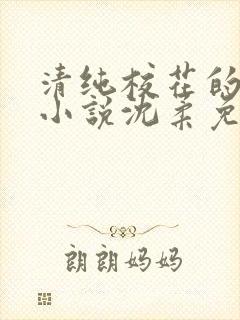 清纯校花的日常小说沈柔免费阅读