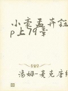 小豪孟卉钰慧三p上79章