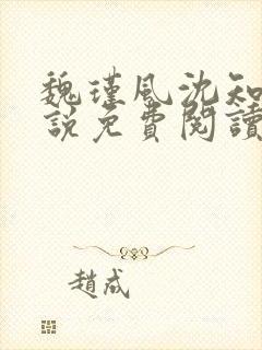 魏瑾风沈知玉小说免费阅读最新章节