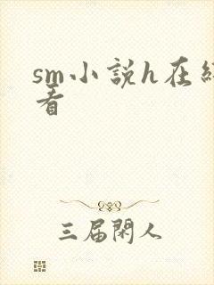 sm小说h在线看