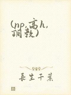 (np,高h,调教)