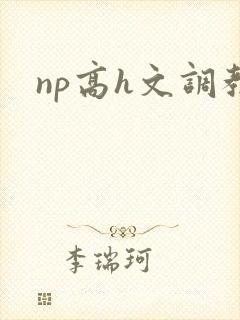 np高h文调教