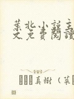 叶北小说主角全文免费阅读