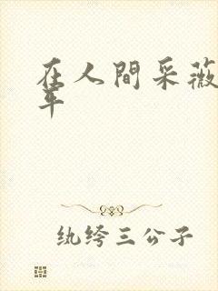 在人间采薇陆三平封面
