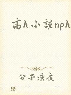 高h小说nph