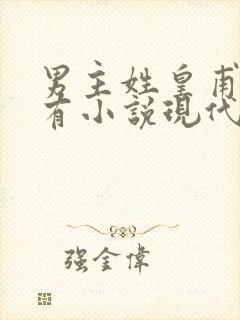 男主姓皇甫的所有小说现代言情