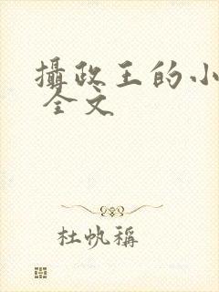 摄政王的小闲妻 全文