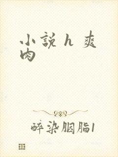 小说 h 爽 肉