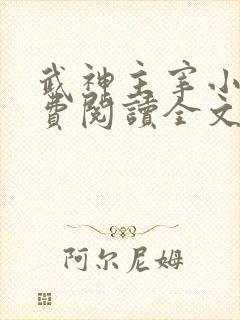 武神主宰小说免费阅读全文封面