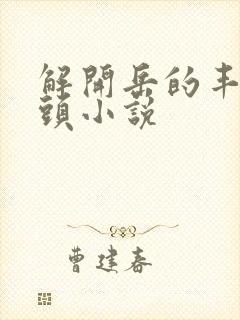 解开岳的丰满奶头小说封面