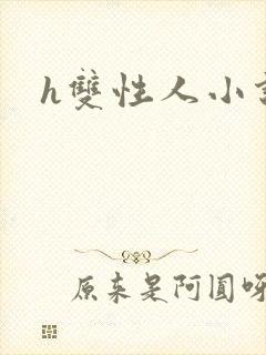 h双性人小说封面