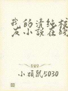 我的清纯校花女友小说在线阅读