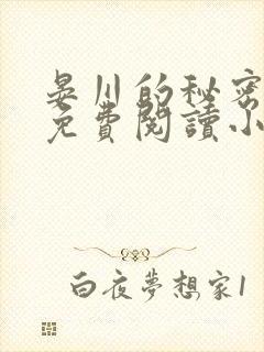 晏川的秘密全文免费阅读小说