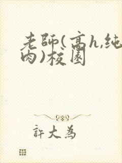 老师(高h,纯肉)校园