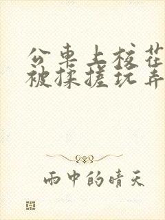 公车上校花双乳被揉搓玩弄