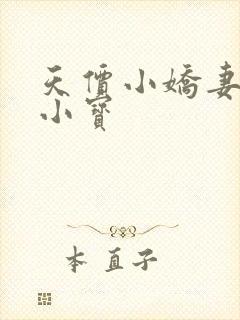 天价小娇妻 银小宝