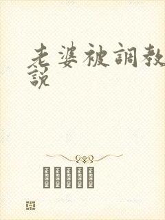 老婆被调教的小说封面