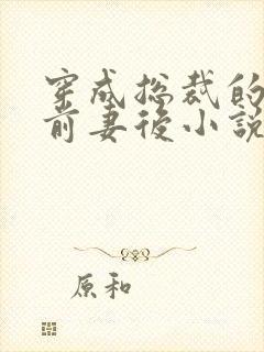 穿成总裁的炮灰前妻后小说