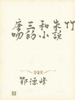 唐三和朱竹清热吻的小说封面