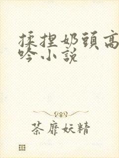 揉捏奶头高潮呻吟小说