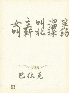 女主叫温宁男主叫靳北琛的小说