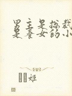 男主是总裁女主是养女的小说