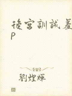后宫训诫羞刑sp