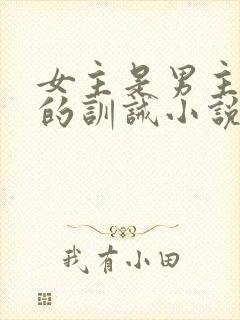 女主是男主奴隶的训诫小说封面